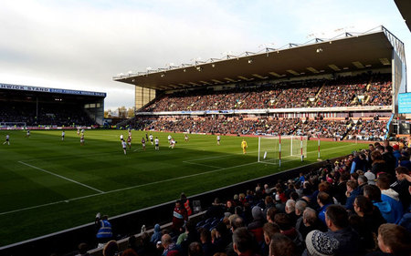 在这种情感 在这种情感