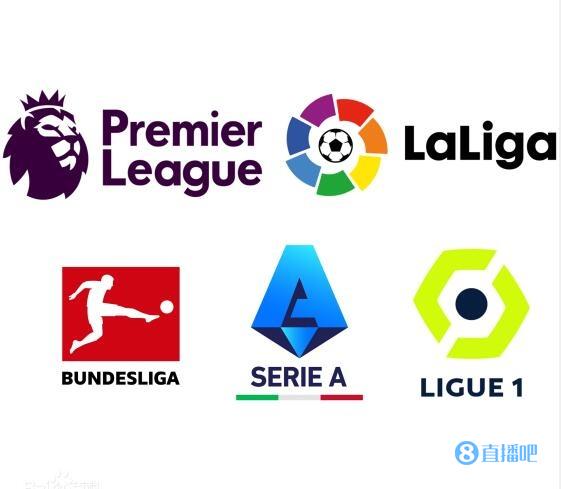 尖羽毛球比 尖羽毛球比